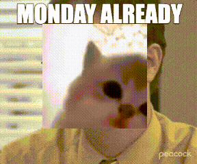 Kitten Standing On Hind Legs Good Morning GIF