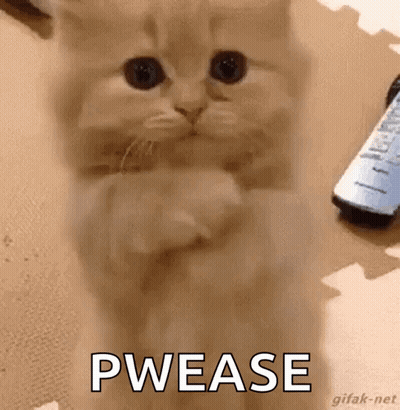 Kitten Standing On Hind Legs GIF
