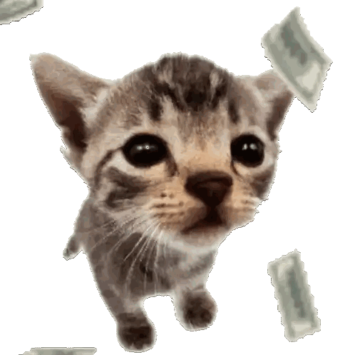 Kitten Surrounded By One Dollar Bills Sticker