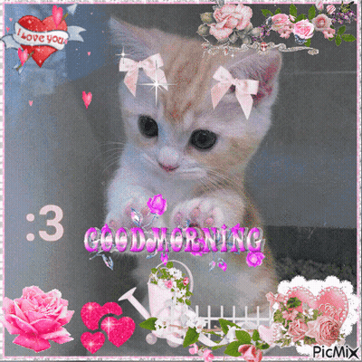 Kitten Surrounded By Pink Flowers Good Morning GIF