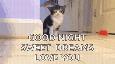 Kitten Walking Hallway Good Night Sweet Dreams Love You GIF