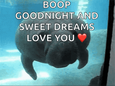Kitten Walking In Hallway Saying Good Night Sweet Dreams Love You GIF