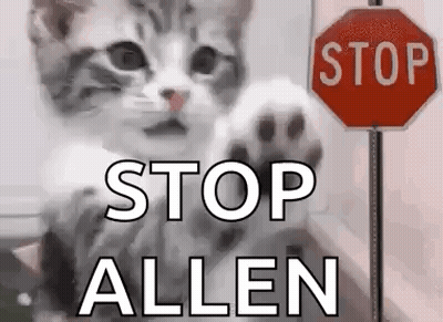 Kitten Waving Next To Stop Sign GIF