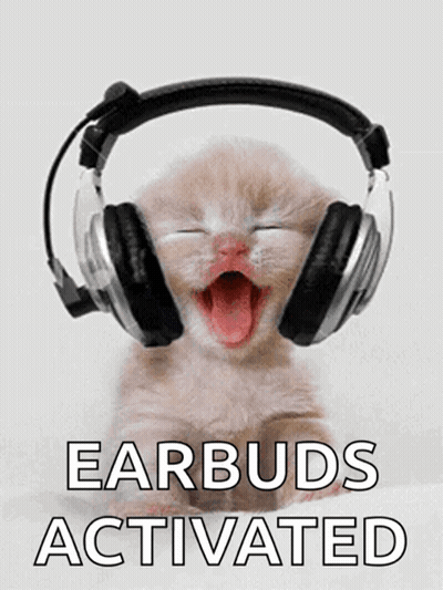 Kitten Wearing Headphones Earbuds Activated GIF