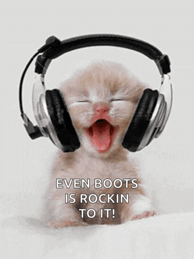 Kitten Wearing Headphones Even Boots Is Rockin To It GIF