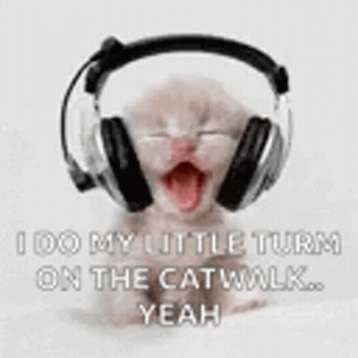 Kitten Wearing Headphones I Do My Little Turn On The Catwalk GIF