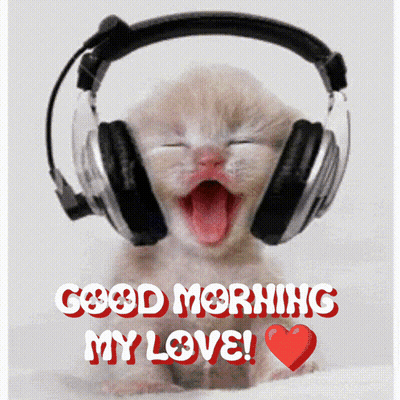 Kitten Wearing Headphones Saying Good Morning GIF