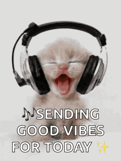 Kitten Wearing Headphones Sending Good Vibes For Today GIF