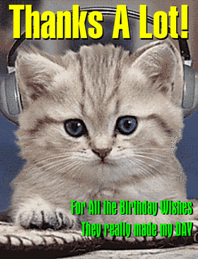 Kitten Wearing Headphones Thanks A Lot For All The Birthday Wishes GIF