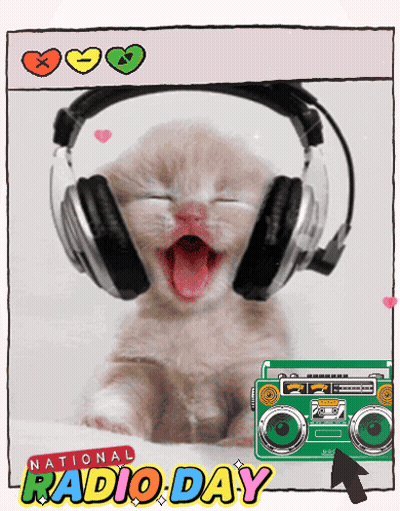 Kitten Wearing Headphones With Boombox GIF