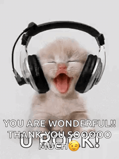 Kitten Wearing Headphones With Mouth Open GIF