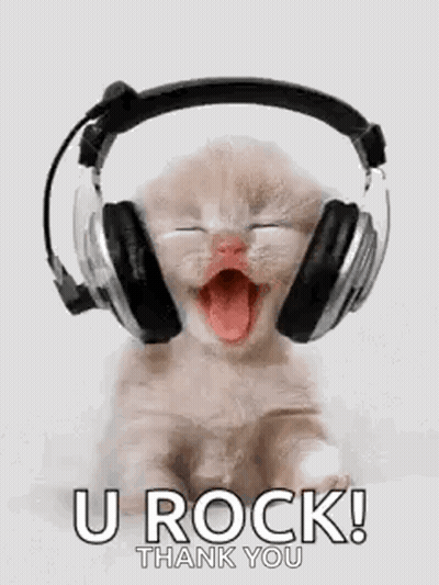 Kitten Wearing Headphones With Tongue Out GIF