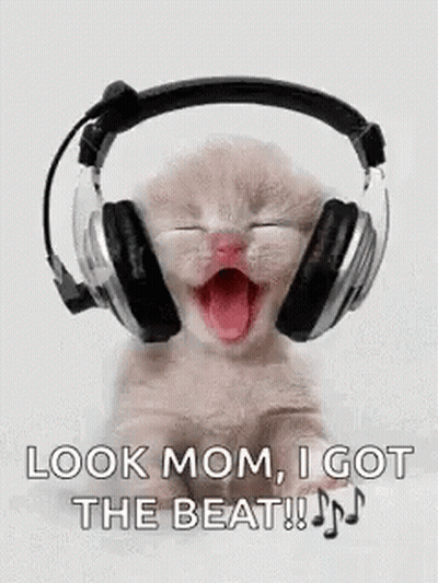 Kitten Wearing Headphones Yawning Says Look Mom I Got The Beat GIF