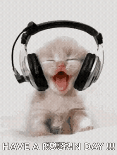 Kitten Wearing Headphones Yawning GIF
