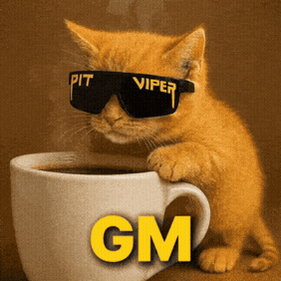 Kitten Wearing Pit Viper Sunglasses On Coffee Cup GIF