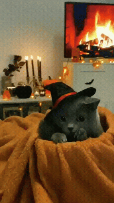 Kitten Wearing Witch Hat Laying On Blanket GIF