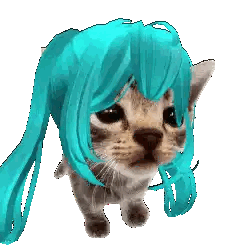 Kitten With Blue Wig Looks At Camera Sticker