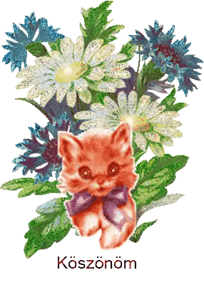 Kitten With Flowers And Koszonom Sticker