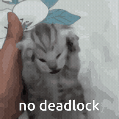 Kitten With No Deadlock Text GIF