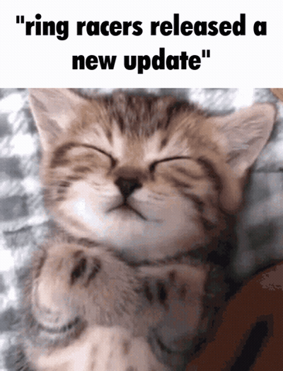 Kitten With Ring Racers Update GIF