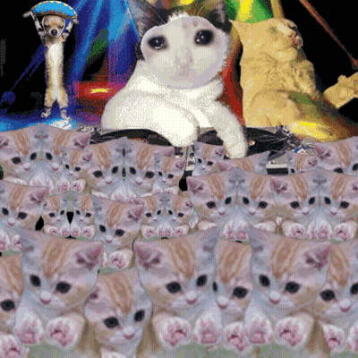 Kittens And Cat Collage With Dog GIF