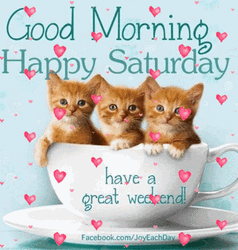 Kittens And Hearts Saturday Blessings GIF