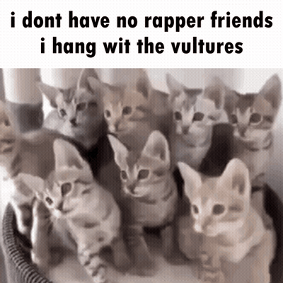 Kittens In Basket I Dont Have No Rapper Friends GIF