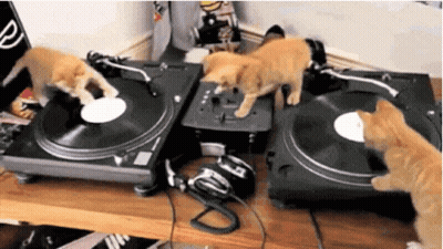 Kittens Playing Music On Turntable GIF