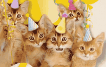 Kittens With Party Hats Singing Happy Birthday GIF