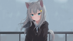 Kitty Cat Anime Discord Pfp GIF