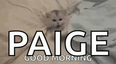 Kitty Good GIF