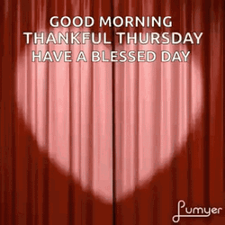 Kitty Good Morning Thursday Funny GIF
