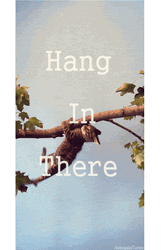 Kitty Just Hanging Around GIF