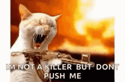 Kitty Machine Gun GIF