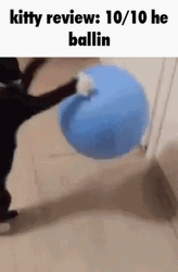 Kitty Review Ten Ten He Ballin GIF