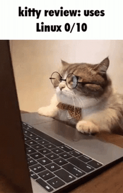 Kitty Review Uses Linux GIF