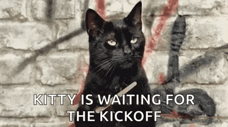 Kitty Waiting For Kickoff GIF