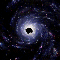 Kittyspin Ks GIF