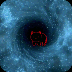 Kittyspin Ks GIF