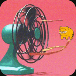 Kittyspin Ks GIF