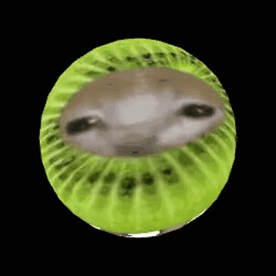 Kiwi With Dog Face GIF