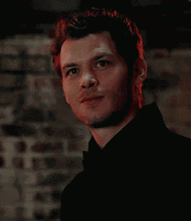 Klaus Mikaelson Eyebrow Rise Agreeing GIF