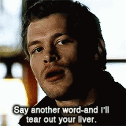Klaus Mikaelson Say Another Word GIF