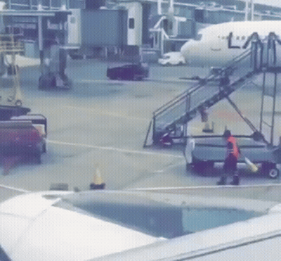 KLM Plane On Tarmac GIF