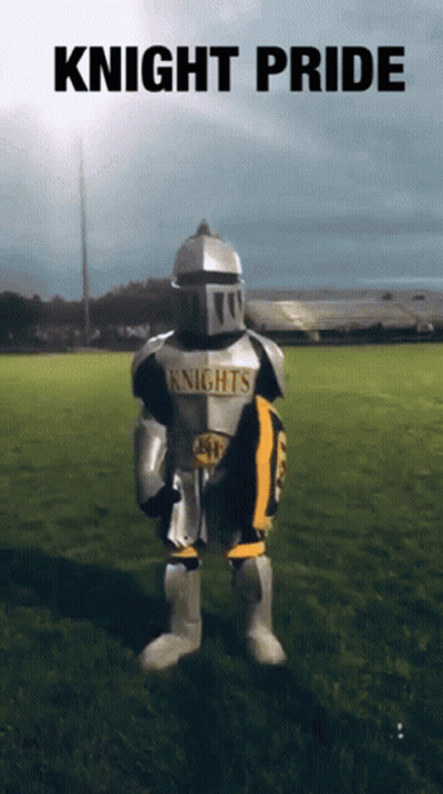Knight Holding Shield Saying Knights GIF