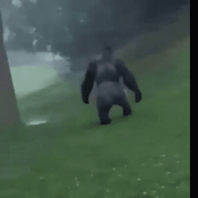 Knight In Armor Dancing In Front Of Wall GIF