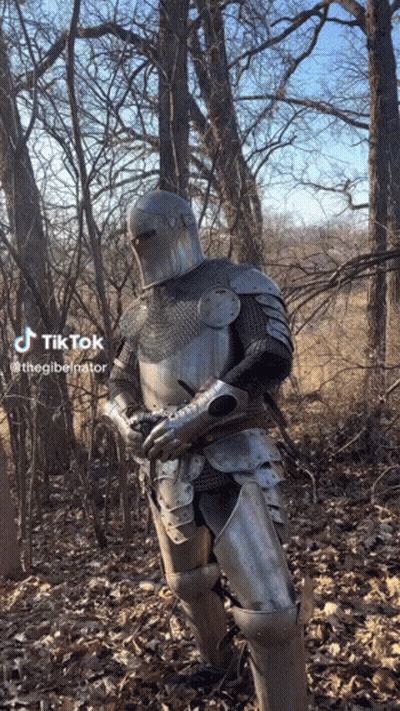 Knight In Armor Holding Gun In Woods GIF