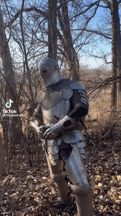 Knight In Armor Standing In Forest GIF