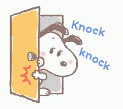 Knock Knock GIF