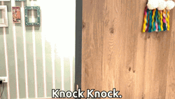 Knock Knock On Other People's Door GIF